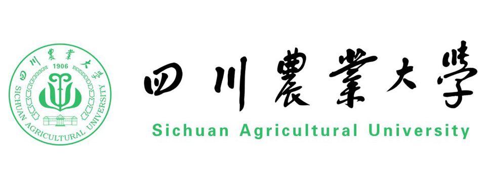 成都深澜海派教育科技研究院