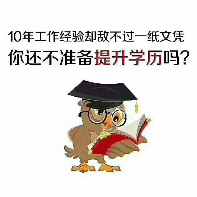 遇到学历歧视怎么办，赤峰成人应该提升学历吗